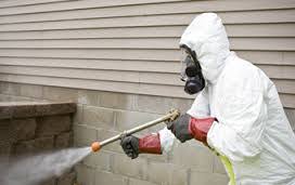   http://www.el3nod.com/5/company-anti-insect-termite-Pesticides-mecca 